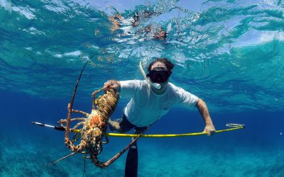 The Best Areas to Scuba Dive in Maui